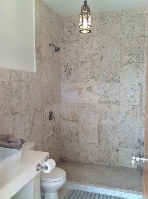 Luxury Beachfront Oasis - Hermosa Palms 50 - image 15