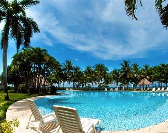 Luxury Beachfront Oasis - Hermosa Palms 50 - image 16
