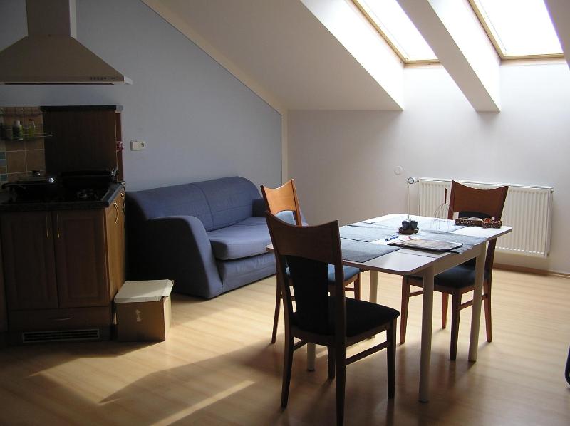Superior Apartment image 2