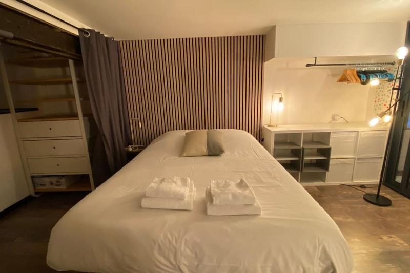 Vaste T2 Duplex Lille Beaux Arts - Renaud - image 11