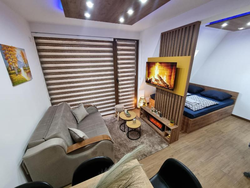 Luxury Apartment Borovi 2 - image 13