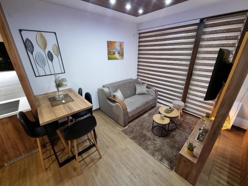 Luxury Apartment Borovi 2 - image 8