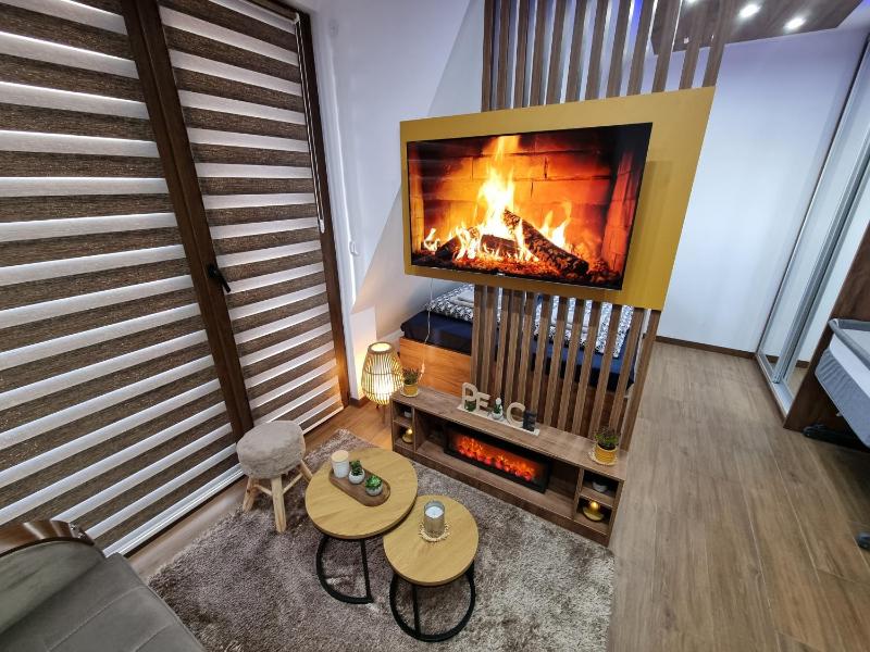 Luxury Apartment Borovi 2 - image 7