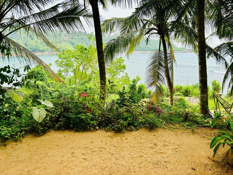 Surf Paradise - image 10