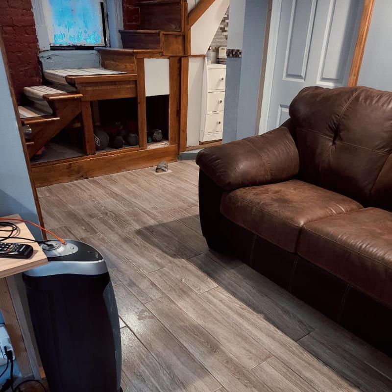 One-Bedroom Apartment image 2