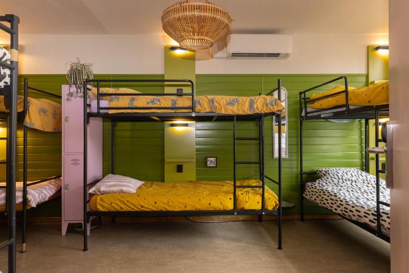 Bunk Bed in 12-Bed Mixed Dormitory Room image 1