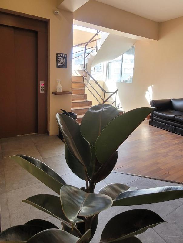 Hotel Madrid - image 9