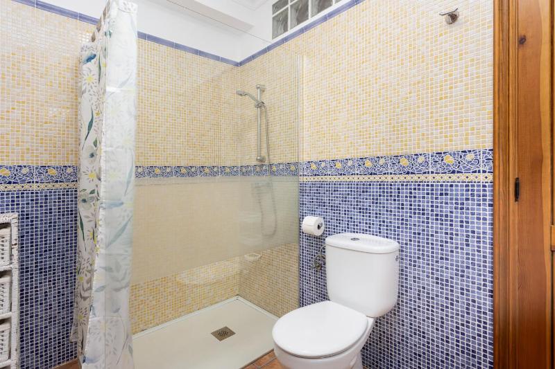 Villa Cecilia Large Private Pool AC WiFi - image 2
