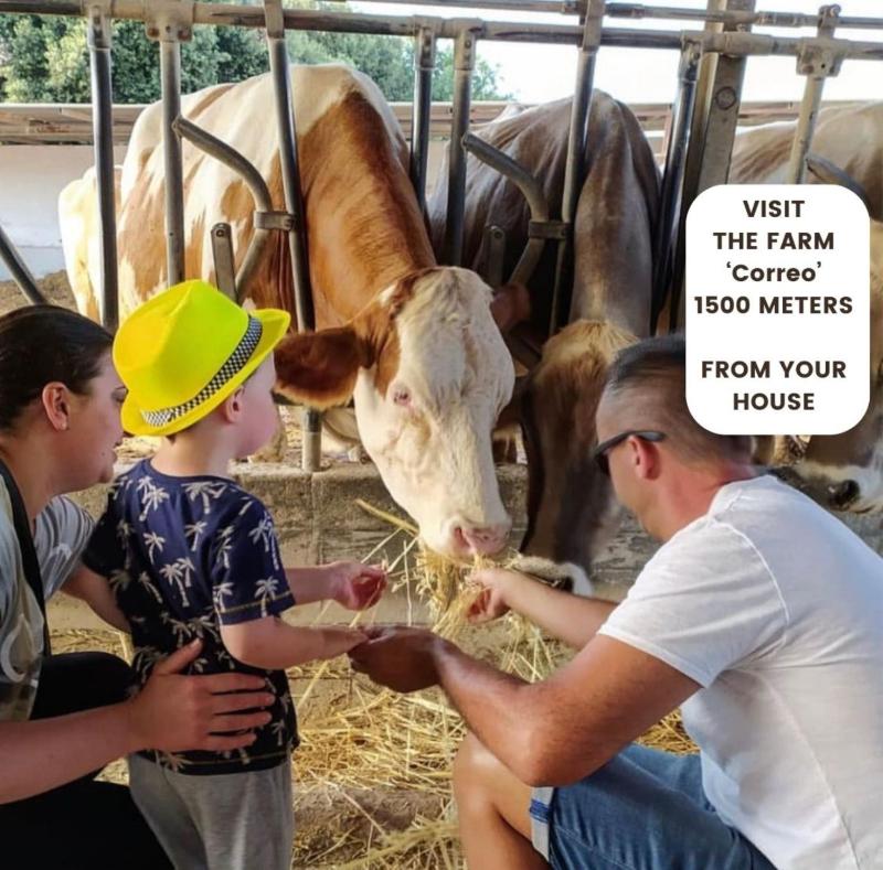 Two-Bedroom House image 4