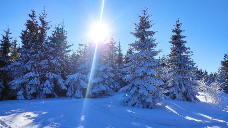 One-Bedroom House image 2