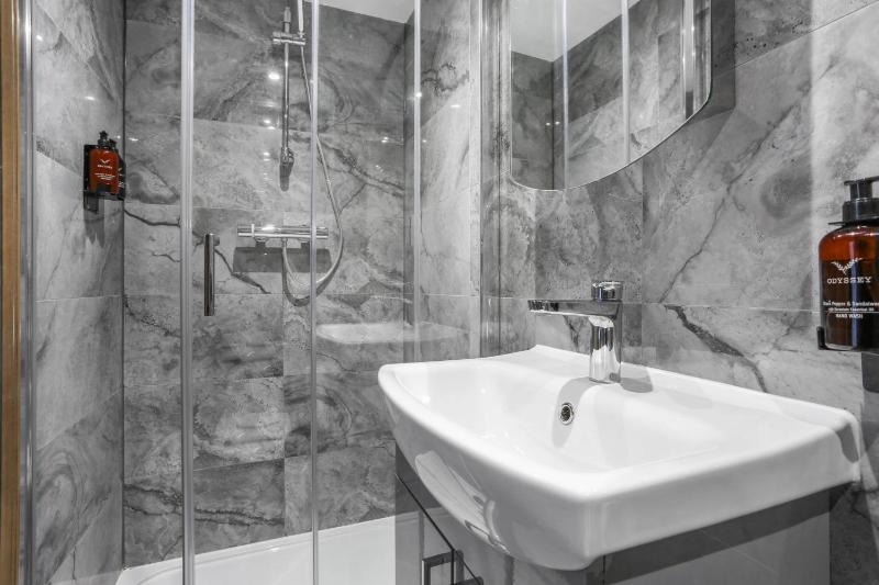 One-Bedroom Apartment image 4