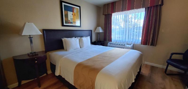 Standard Room, 1 King Bed, Non Smoking image 3