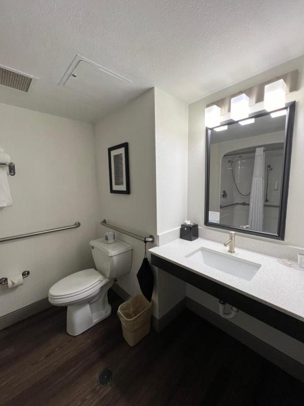King Room with Mobility Access and Bathtub with Grab Bars, Non-Smoking image 4