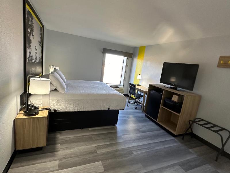 King Studio Suite - Non-Smoking image 3