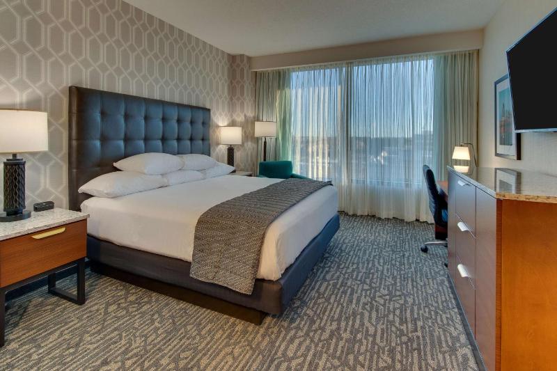 Deluxe King Suite image 4