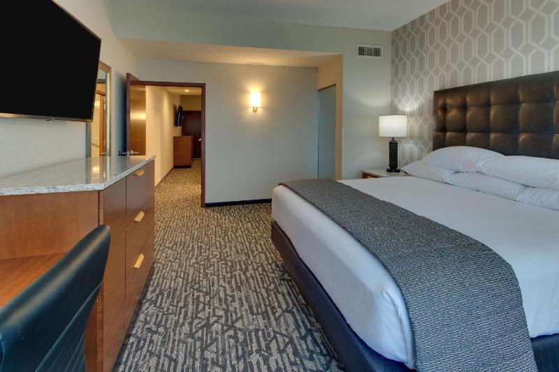 Deluxe King Suite image 3