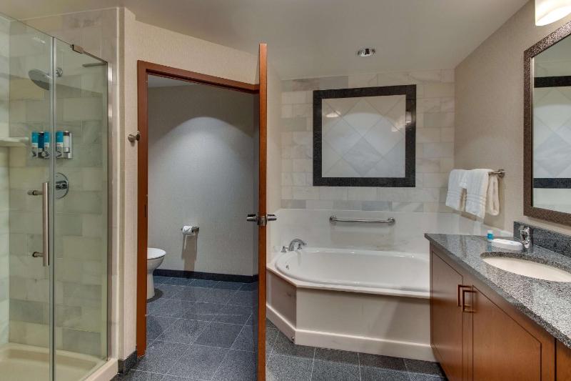 Deluxe King Suite image 2