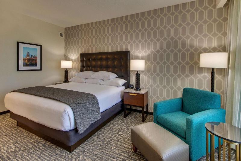 Deluxe King Room image 3