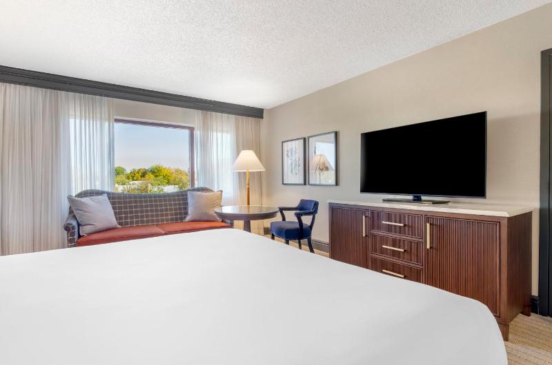 Deluxe Room -1 King Bed image 4