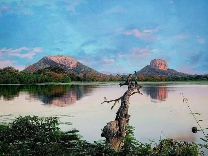 Prince Villa Sigiriya - image 8