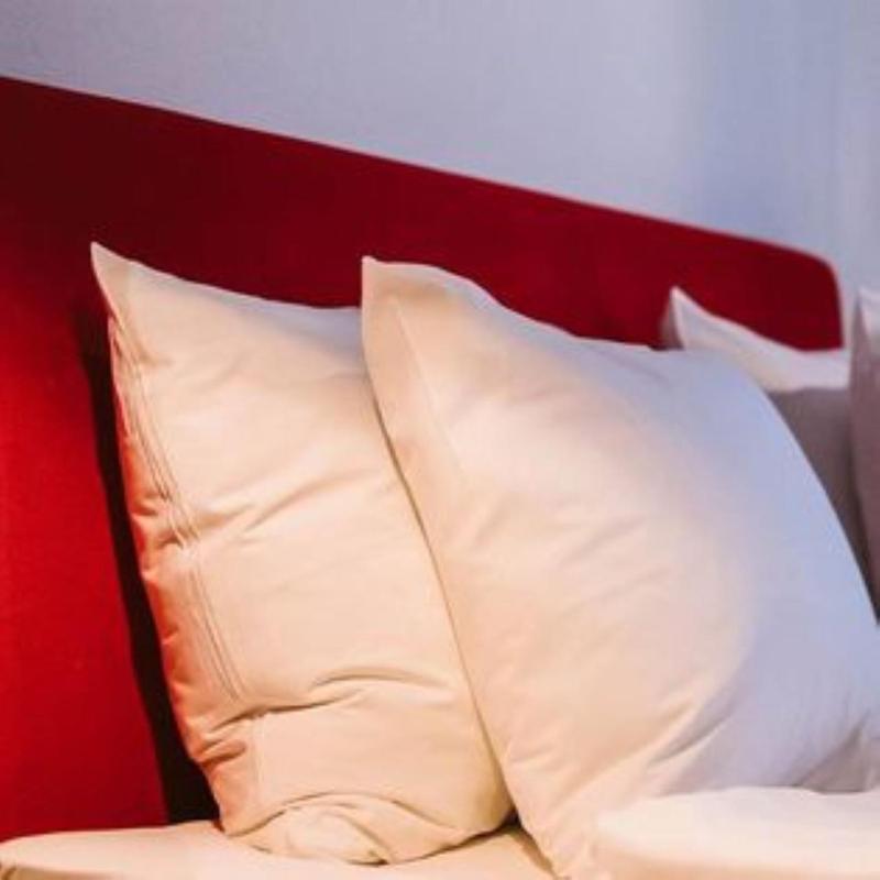 Standard Single Room image 3
