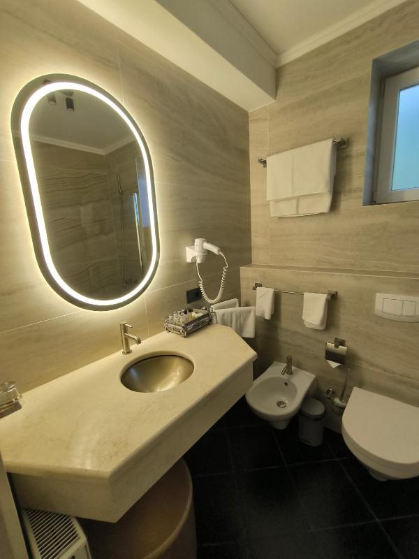 Business Double Room image 3