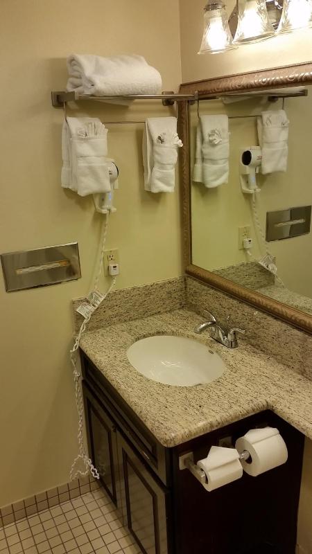 Deluxe King Suite - Non-Smoking image 2