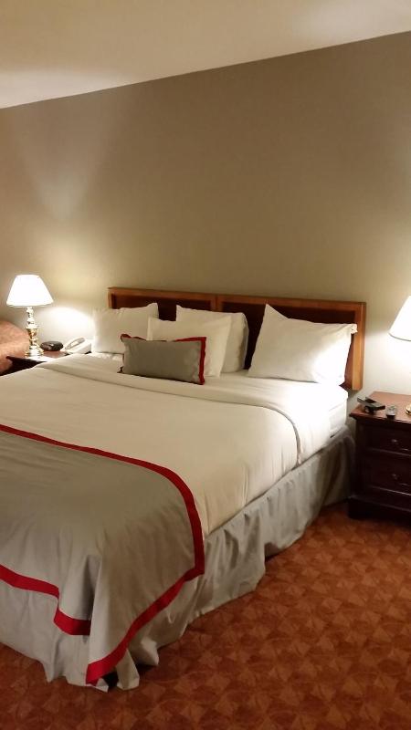 Junior Suite with King Bed - Non-Smoking image 4