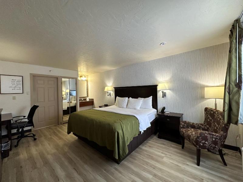 King Studio Suite - Non-Smoking image 3
