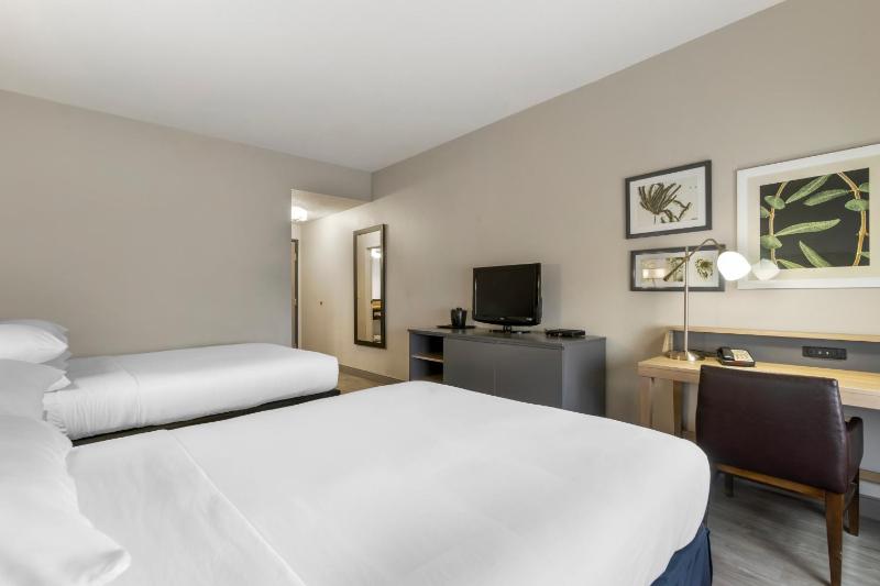 One-Bedroom Suite with Two Queen Beds and Sofa Bed image 3