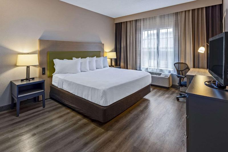 King Room image 4