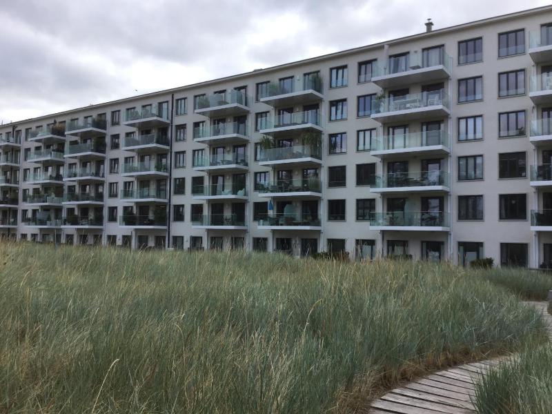 Seeschwalbe mit Meerblick - image 10
