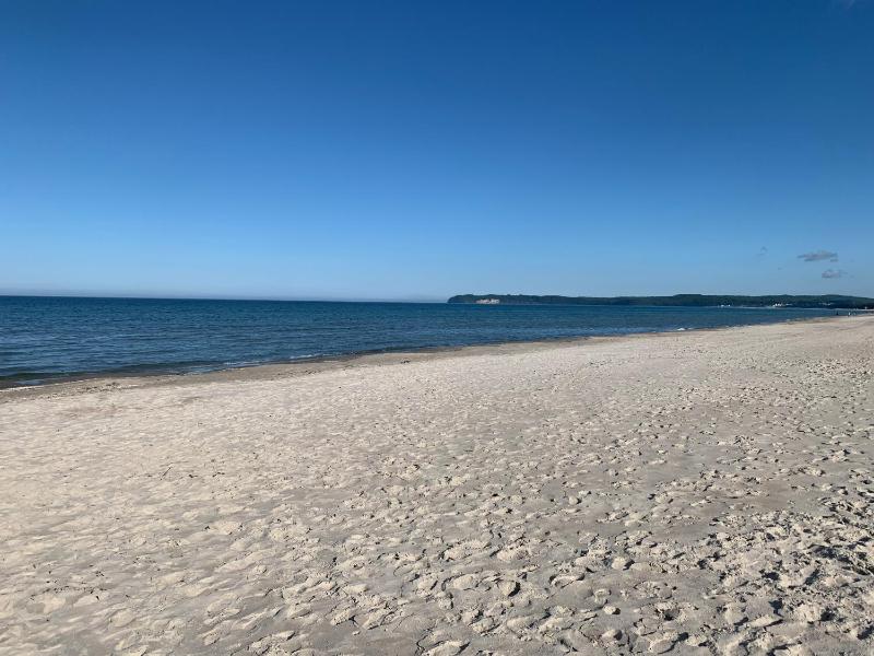 Seeschwalbe mit Meerblick - image 5