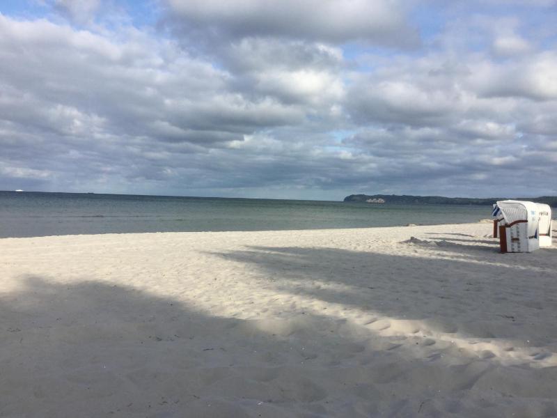 Seeschwalbe mit Meerblick - image 9