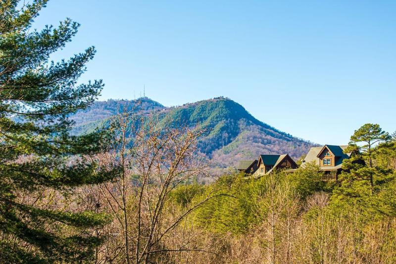 Luxurious Cabin in the Great Smoky Mountains - image 32