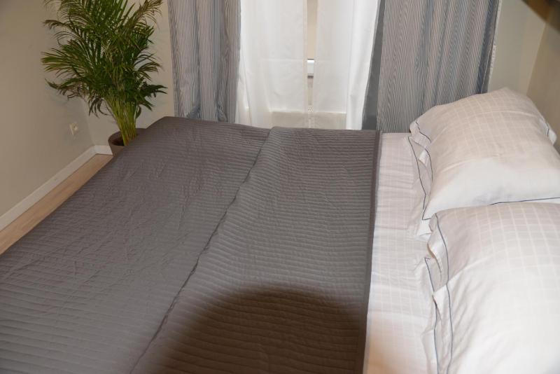 One-Bedroom Apartment with Balcony on 1st floor image 4