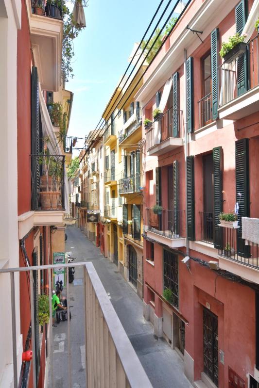 Apartment with Balcony image 4