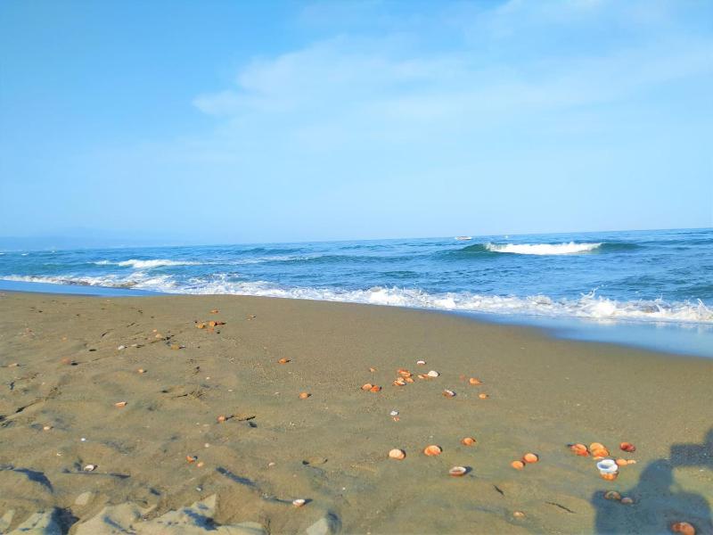 Lovely Sea and Garden View Apartment Benalbeach - image 15