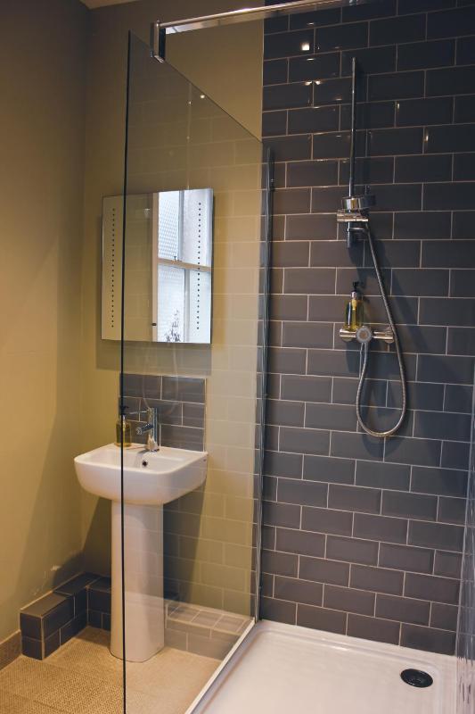 Family Room with Private Bathroom image 3