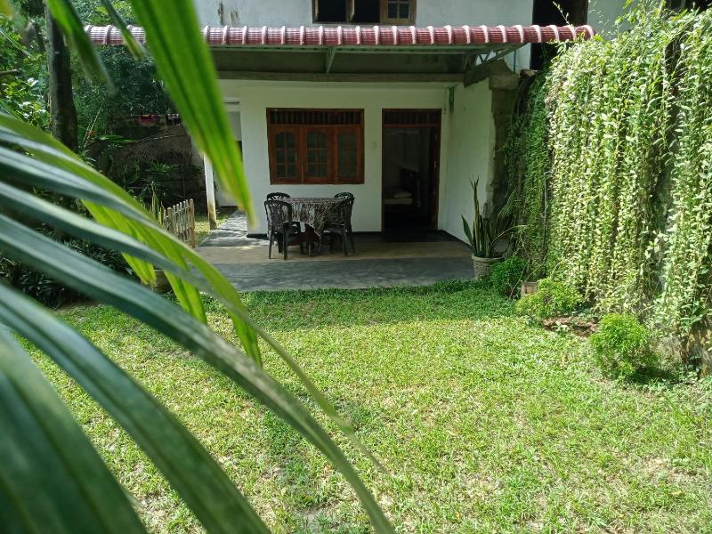 Chico Green - Tangalle - image 13
