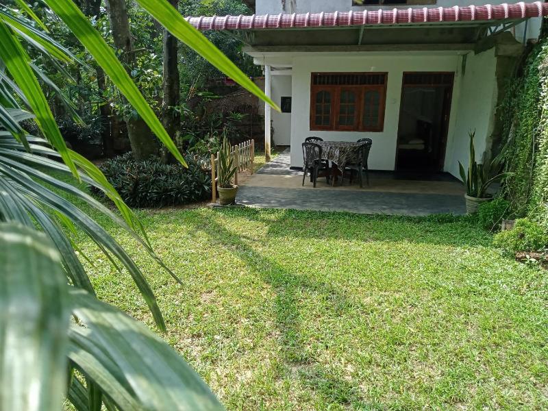 Chico Green - Tangalle - image 31