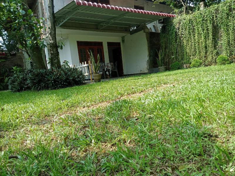 Chico Green - Tangalle - image 23