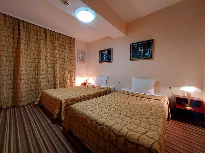 Standard Double or Twin Room image 4