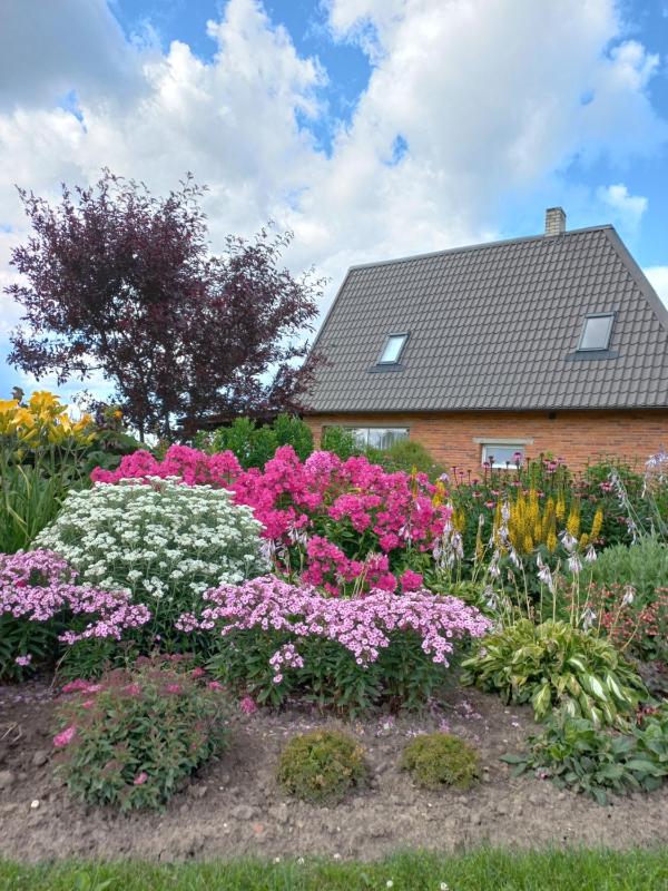 Holiday Home image 4