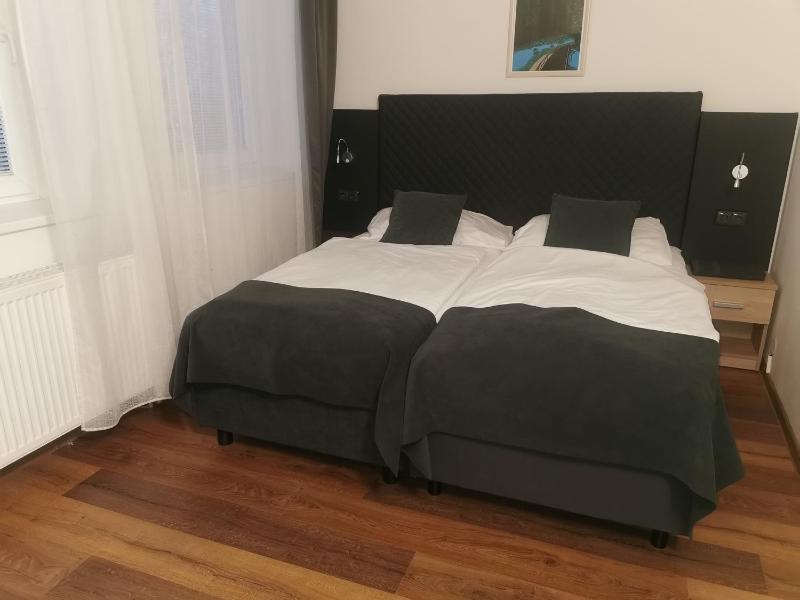 Superior Double or Twin Room image 4