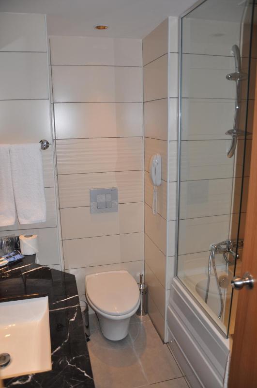 Standard Double or Twin Room image 4