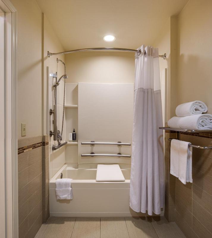 King Studio Suite - Disability Access image 2