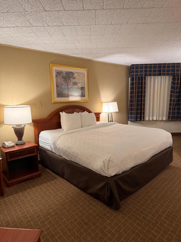 King Suite with Sofa Bed - Non-Smoking image 3