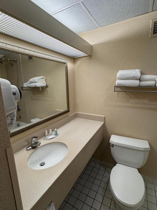 King Suite with Sofa Bed - Non-Smoking image 2
