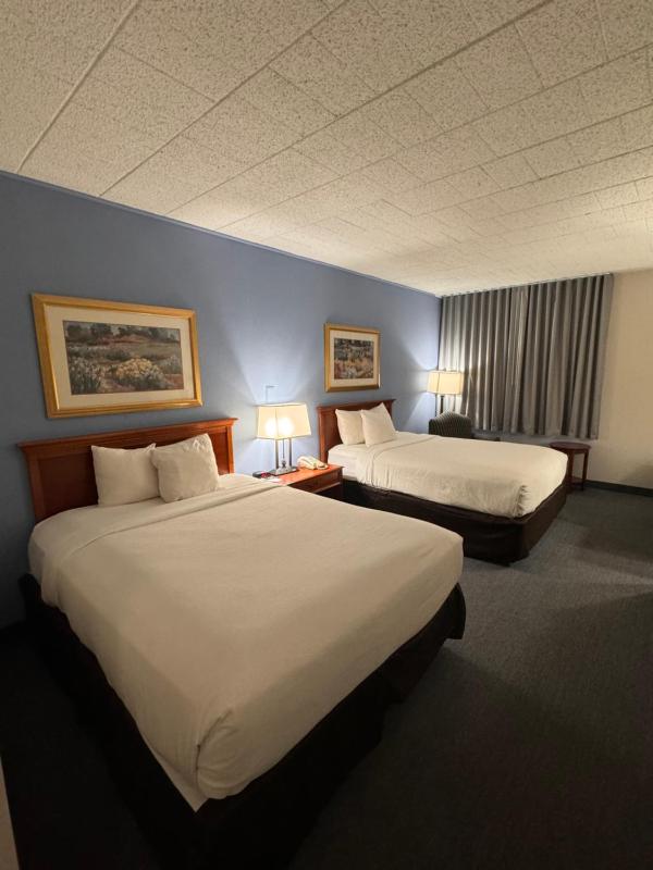 Queen Room - Disability Access/Non-Smoking image 3